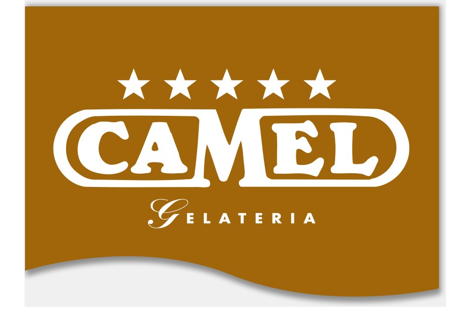 Camel Camel